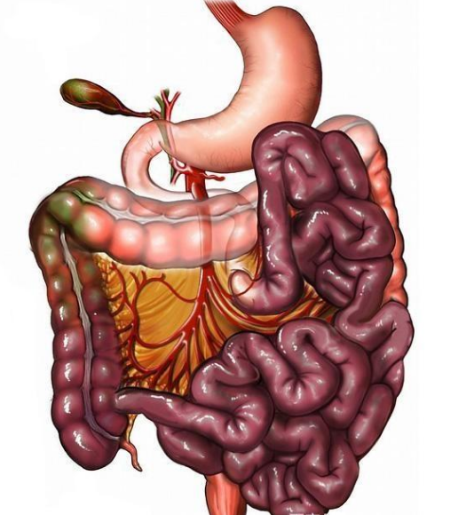腸息肉者，排便出現(xiàn)3個異常，十有八九息肉已變成“癌”